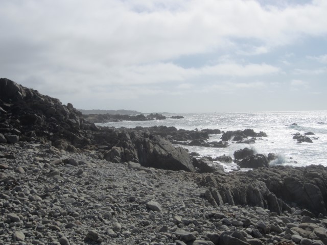 IMG_3396.JPG